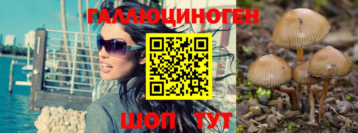 Галлюциногенные грибы GOLDEN TEACHER Лениногорск